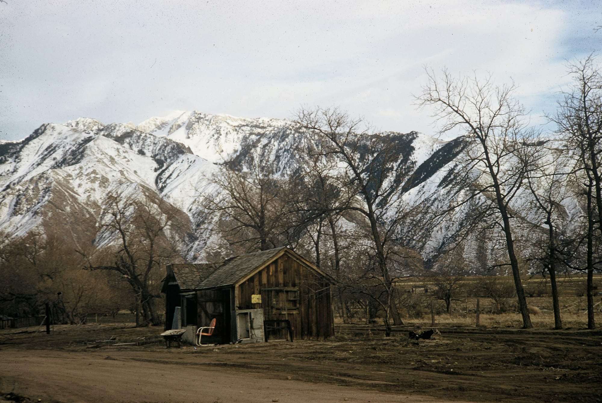 Small wooden shed, barren trees, snowy mountains in the background.
