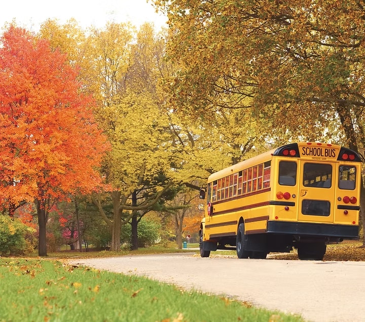 A yellow school bus on a tree-lined road with colorful autumn leaves.