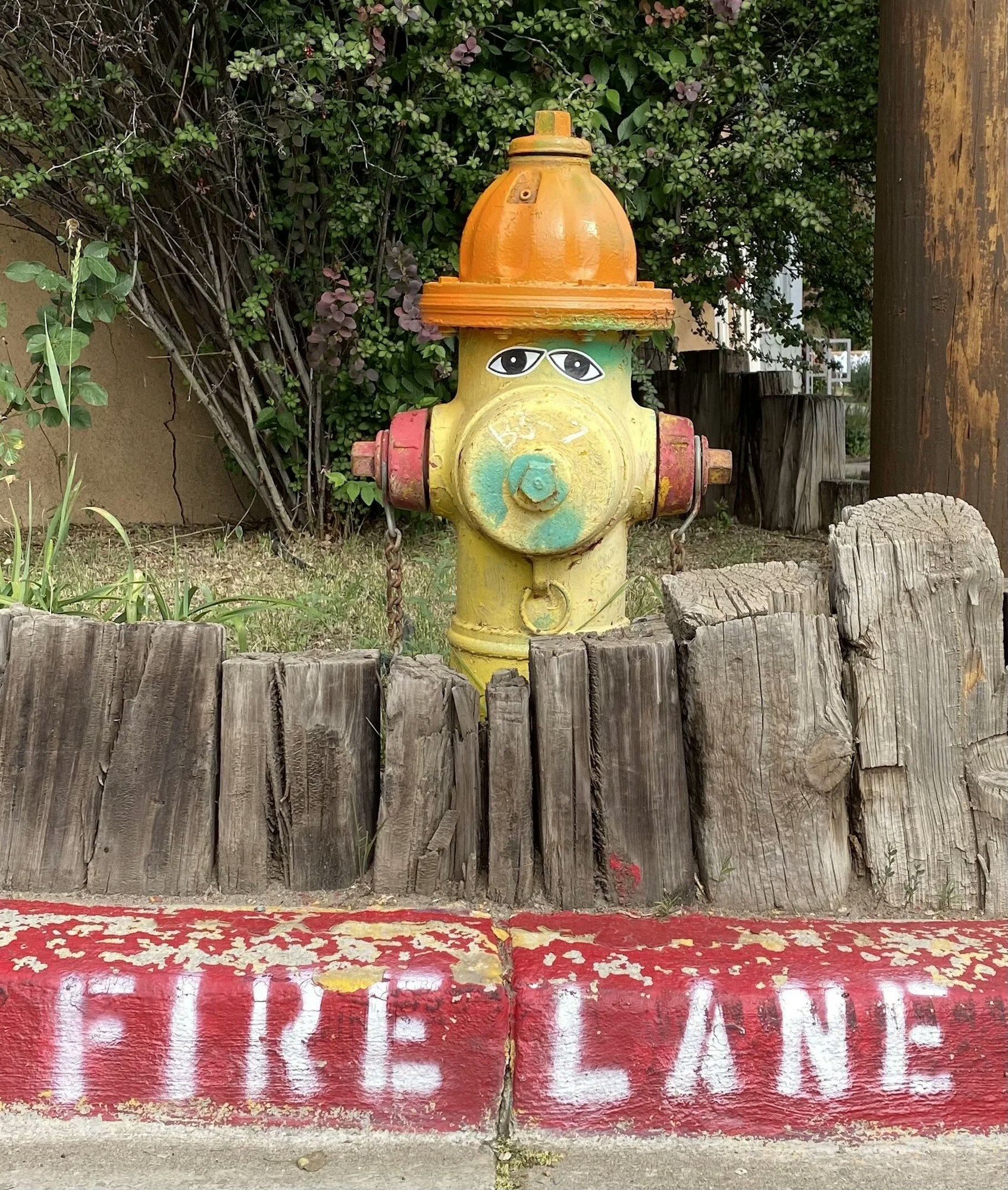 A colorfully painted fire hydrant with eyes, surrounded by wooden logs. "FIRE LANE" is stenciled on the red curb.