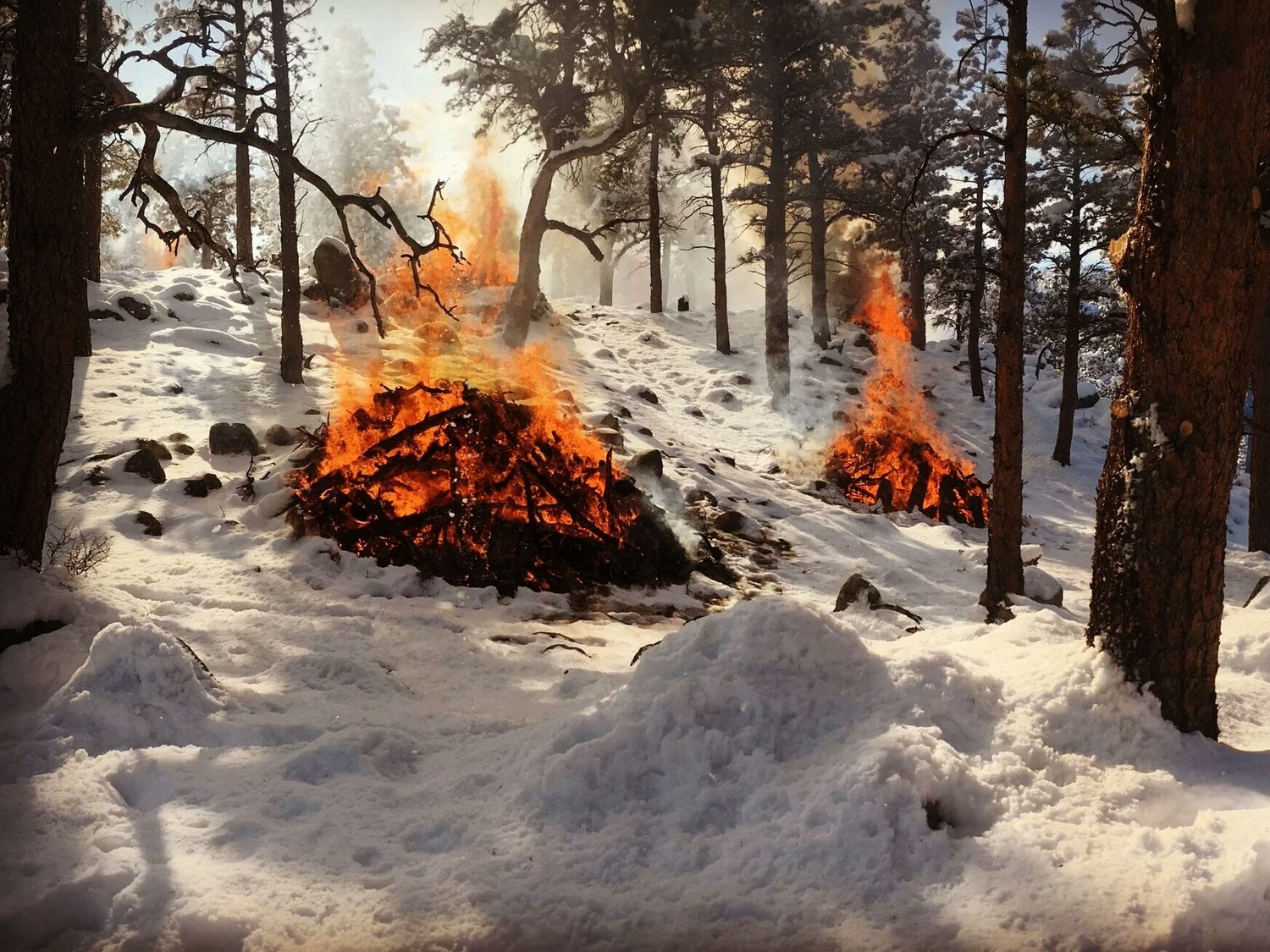 Snowy forest scene with two controlled burns, with piles of branches on fire amidst the snow.