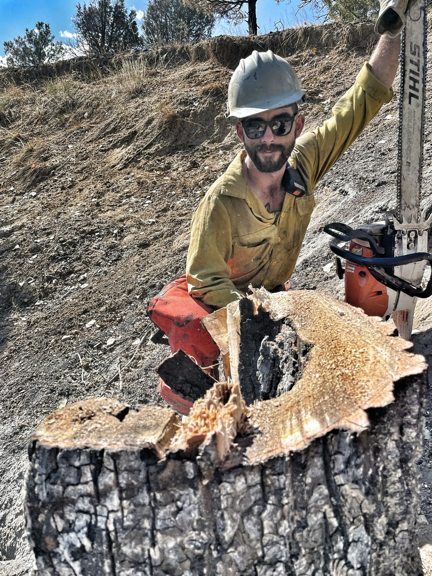A worker in safety gear with a chainsaw next to a large cut tree trunk.