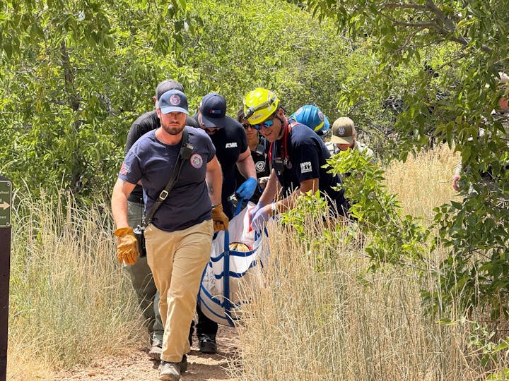 Rescue workers are carrying a stretcher through greenery, likely responding to an incident in a natural area.