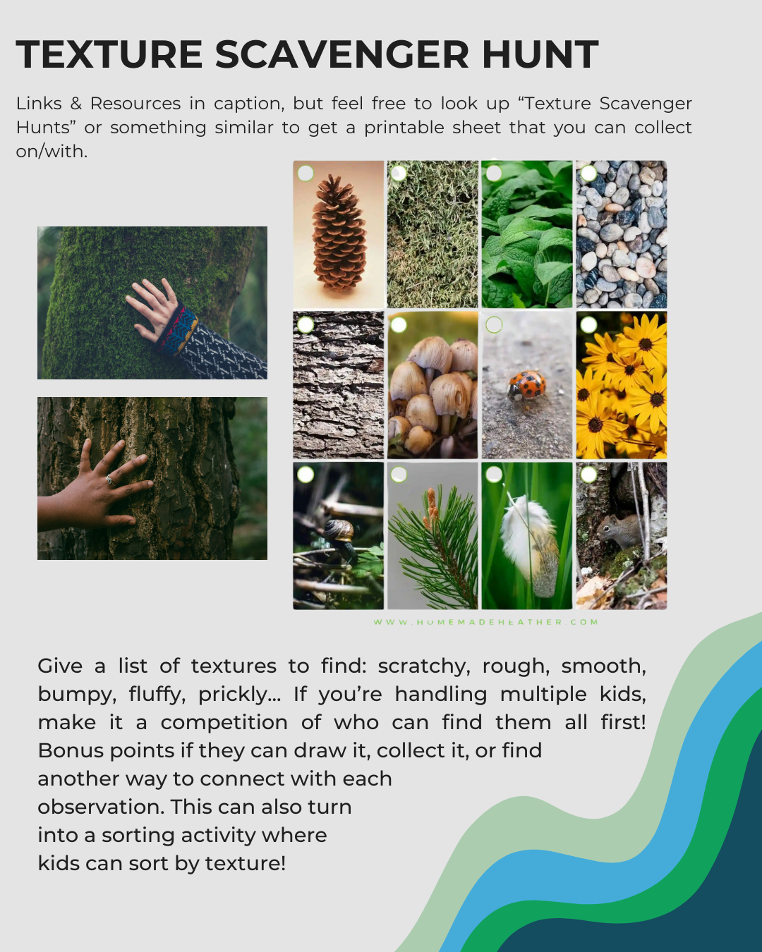 Texture scavenger hunt guide with images of nature textures like pinecones, bark, leaves, and flowers for kids to explore and sort.