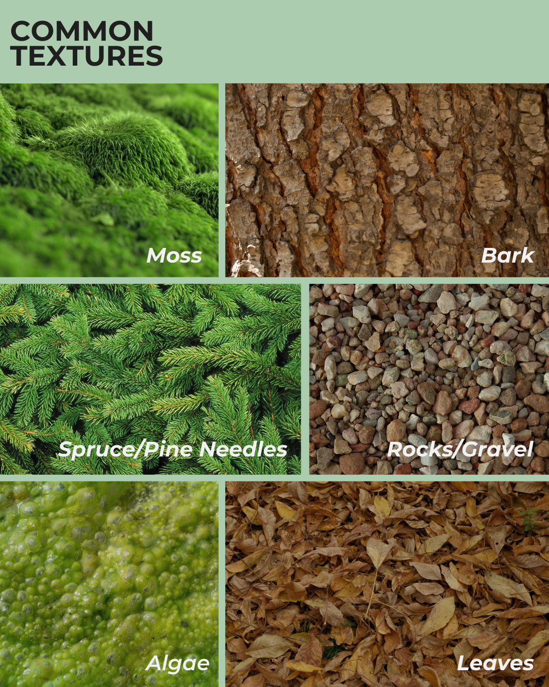 Image showing common textures: moss, bark, spruce/pine needles, rocks/gravel, algae, and leaves.