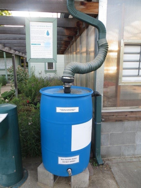 May contain: barrel and rain barrel