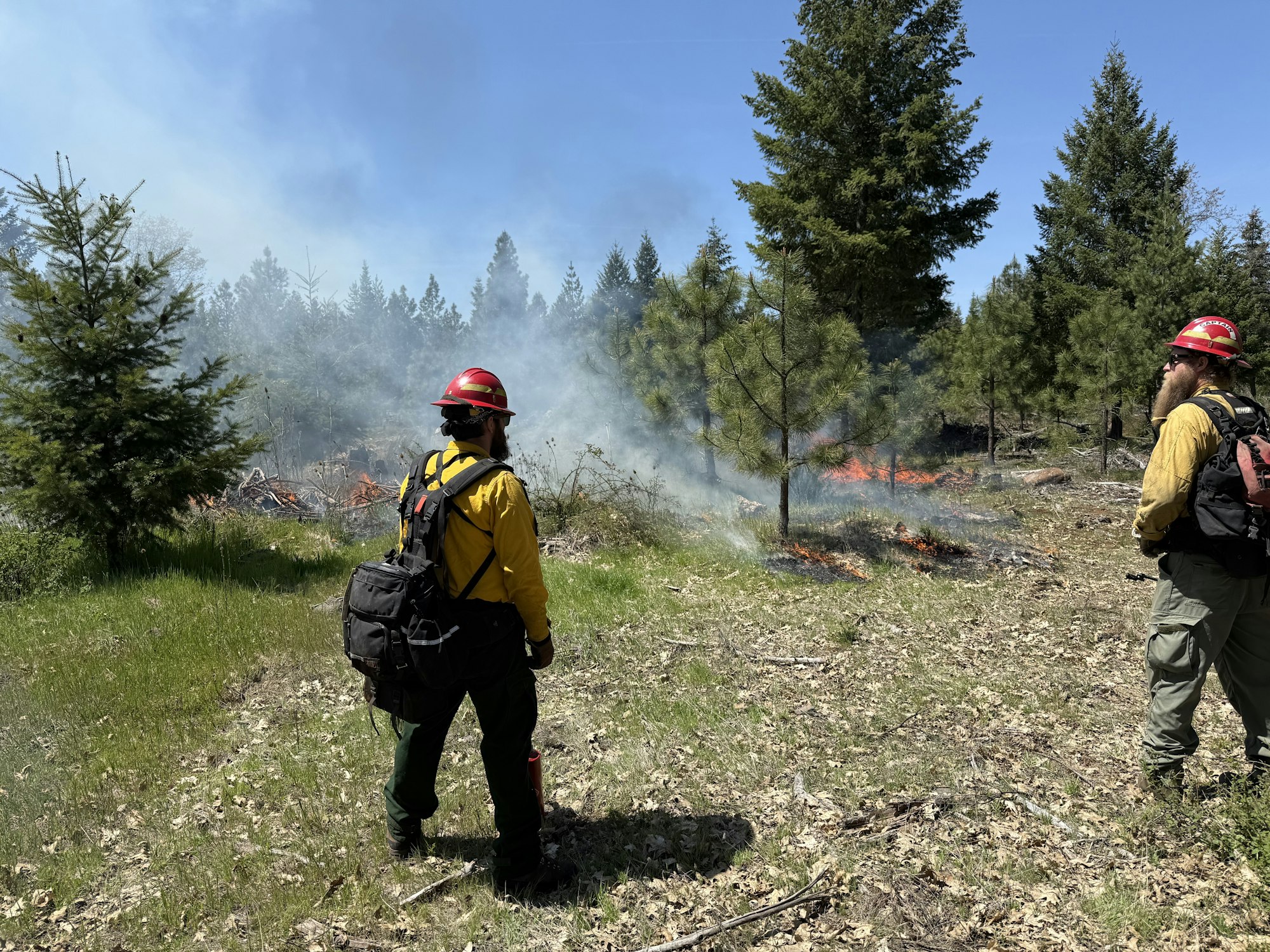 Two firefighters in yellow gear and red helmets observe a controlled burn in a forest clearing.