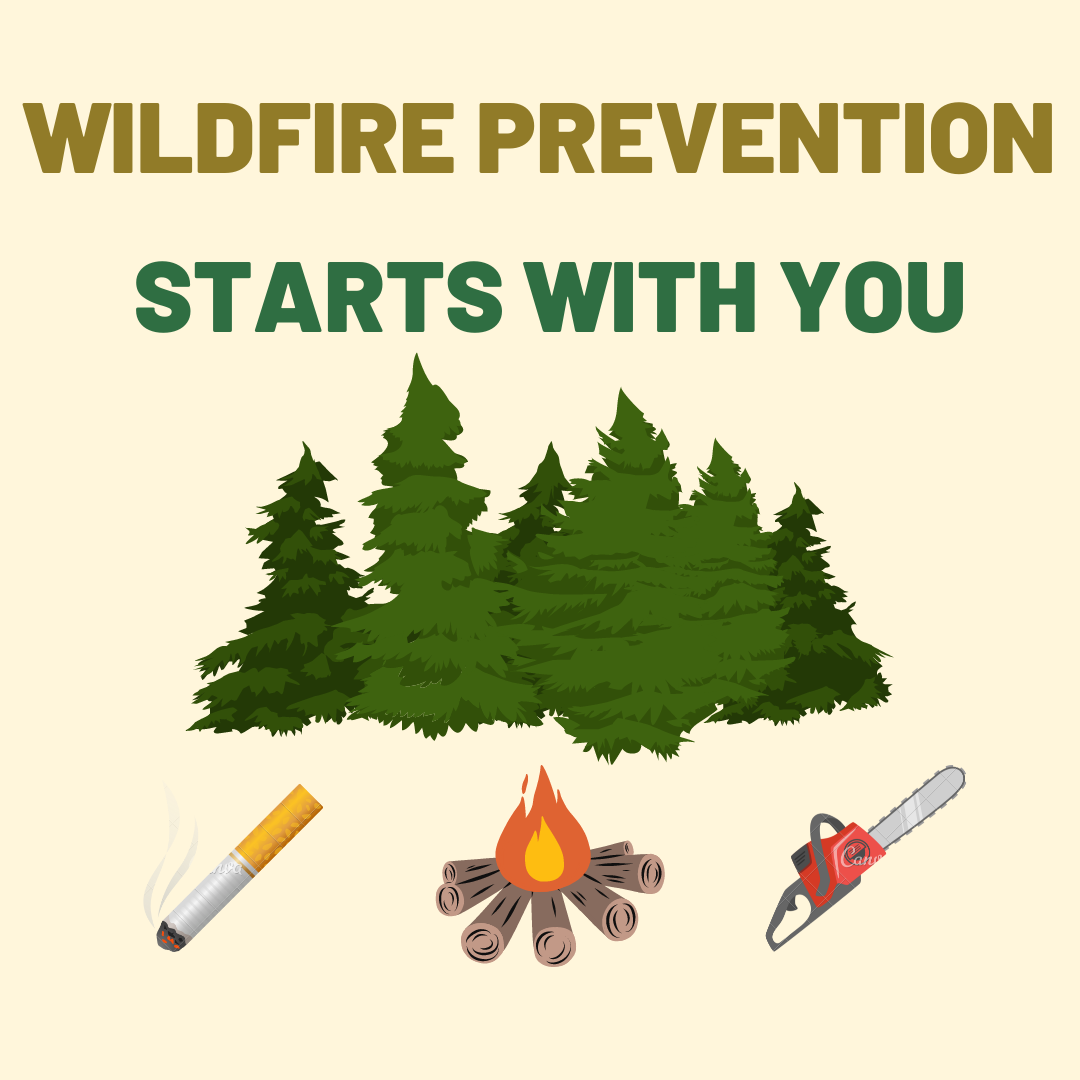 Wildfire prevention starts with you