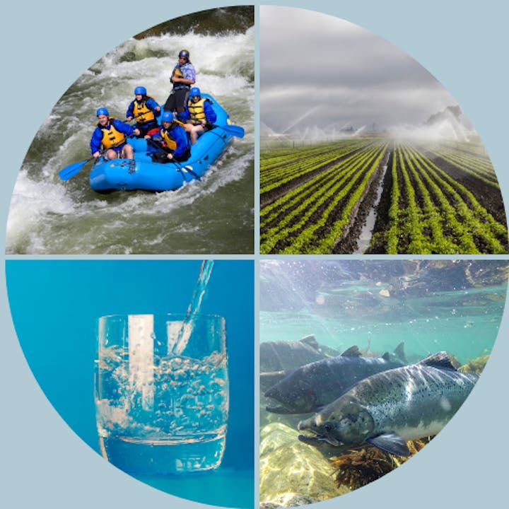 Rafting, irrigation in a field, a pouring glass of water, and fish underwater.