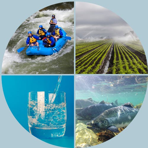Rafting, irrigation in a field, a pouring glass of water, and fish underwater.