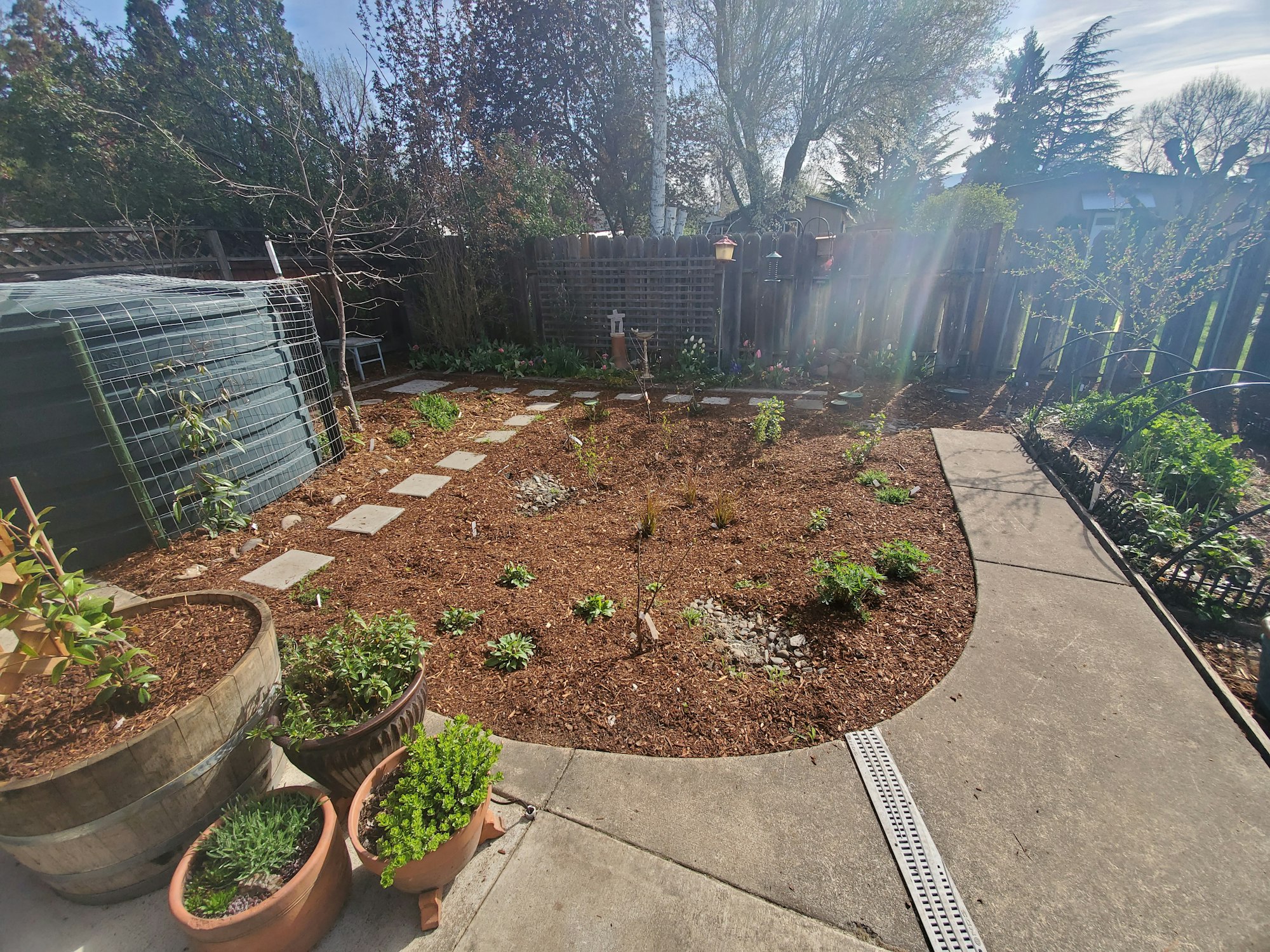 May contain: backyard, nature, outdoors, yard, garden, plant, potted plant, jar, planter, pottery, vase, soil, herbal, herbs, path, walkway, and landscape