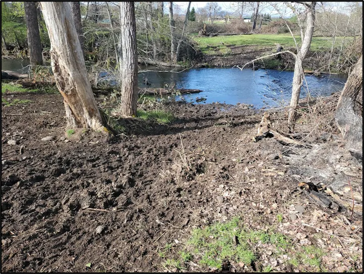 A riverside scene featuring muddy ground, trees, and a calm water stream surrounded by greenery and bare branches.