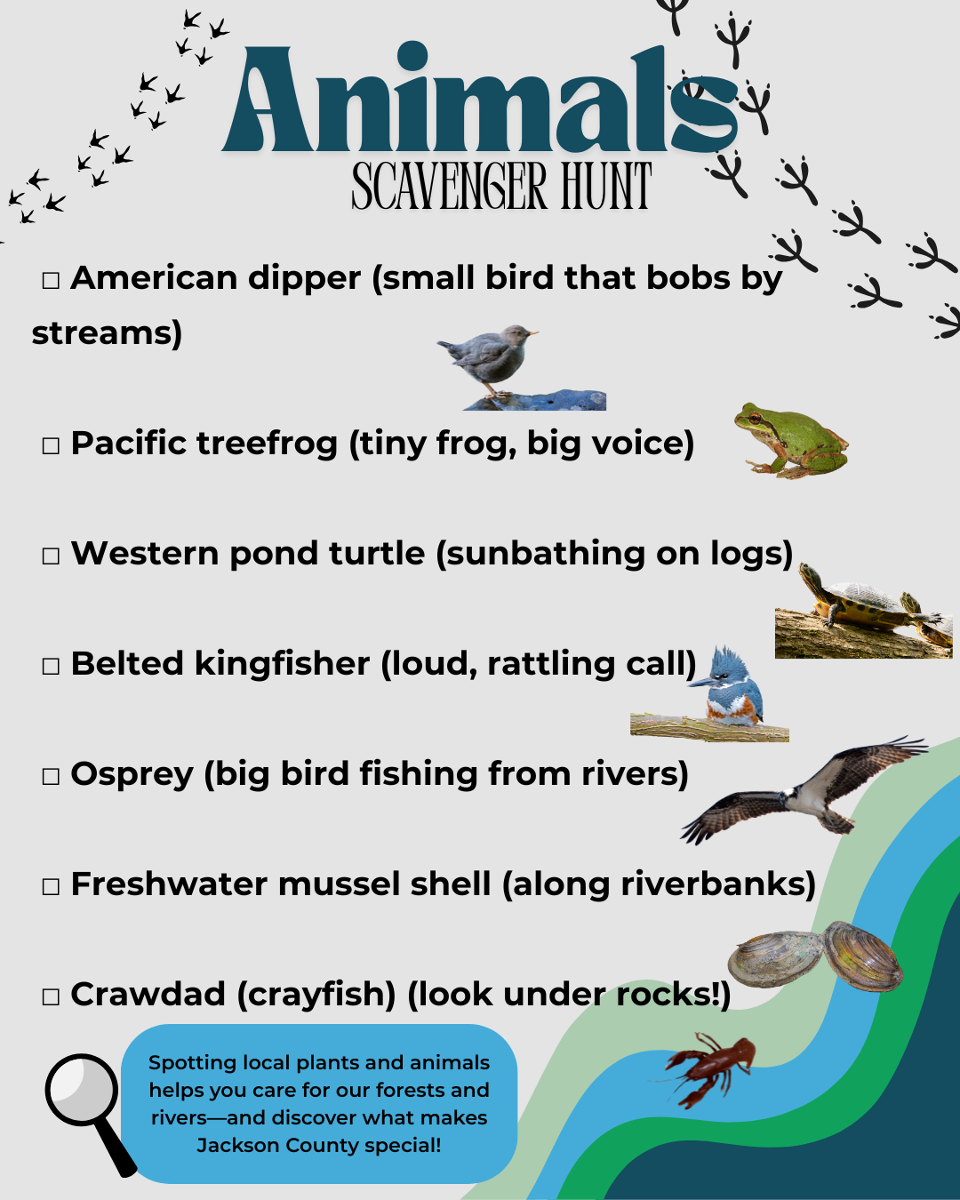 Animal scavenger hunt list: American dipper, Pacific treefrog, Western pond turtle, Belted kingfisher, Osprey, Freshwater mussel, Crawdad.