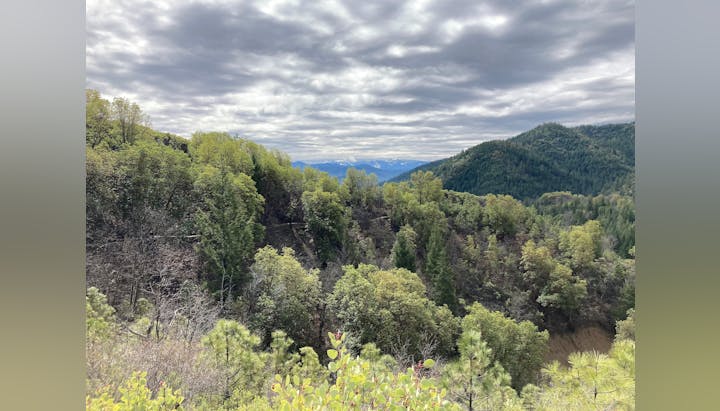 May contain: nature, outdoors, wilderness, plant, vegetation, tree, slope, land, woodland, fir, scenery, jungle, landscape, grass, mountain, mountain range, grove, sky, cloud, rainforest, countryside, and hill