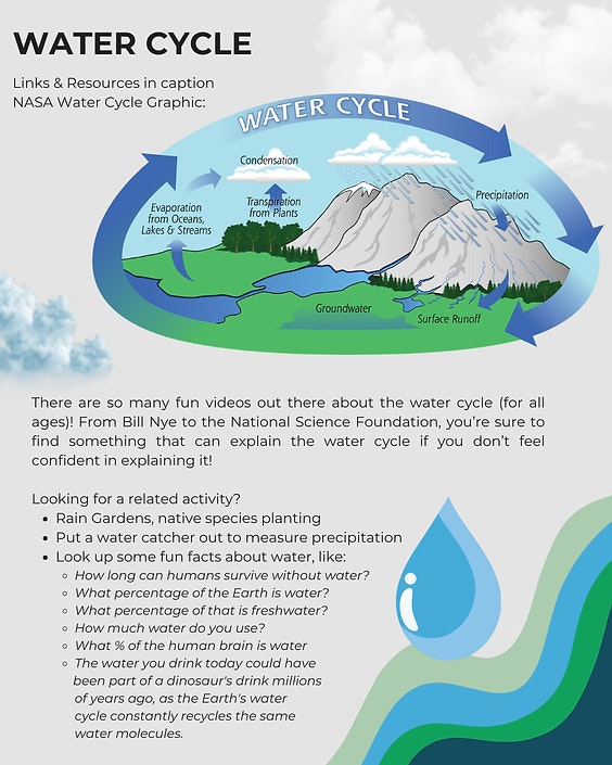 Illustration of the water cycle with activities, facts, and video recommendations for learning about water processes.