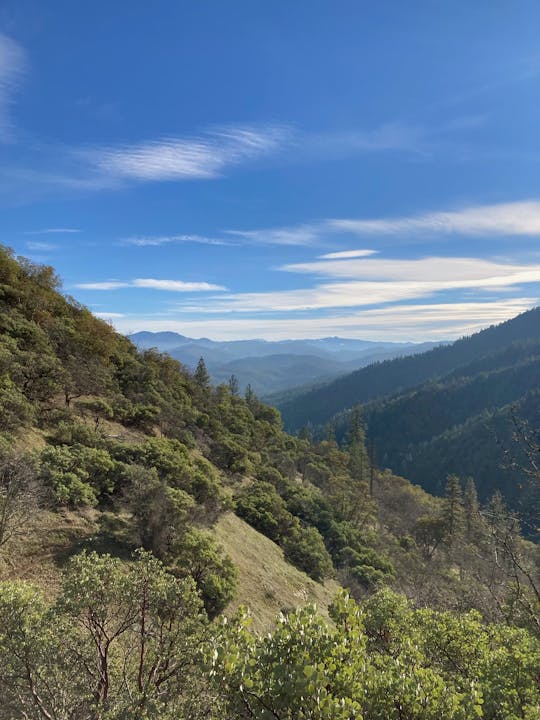 May contain: slope, nature, mountain, outdoors, mountain range, vegetation, plant, countryside, and tree