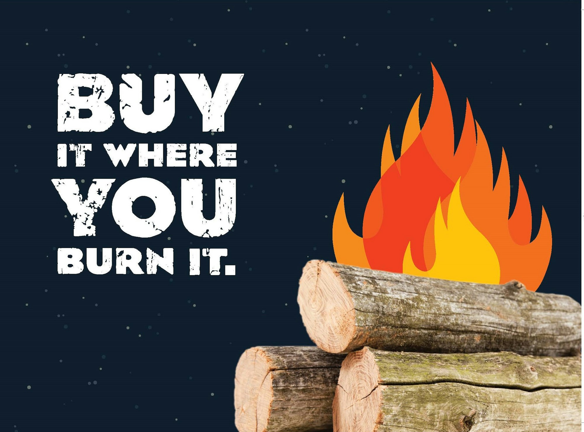 May contain: wood, lumber, and fire