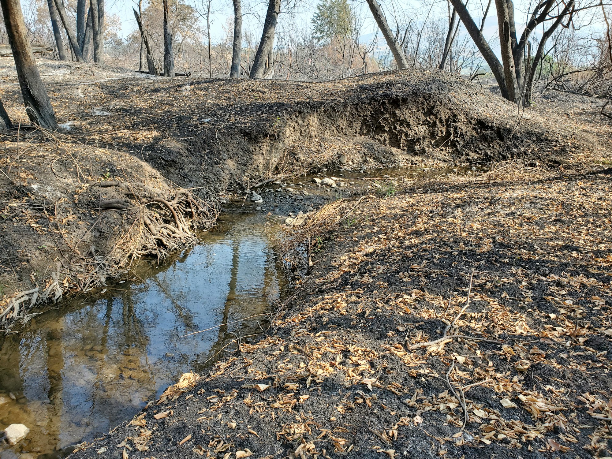 May contain: ditch, nature, outdoors, and land