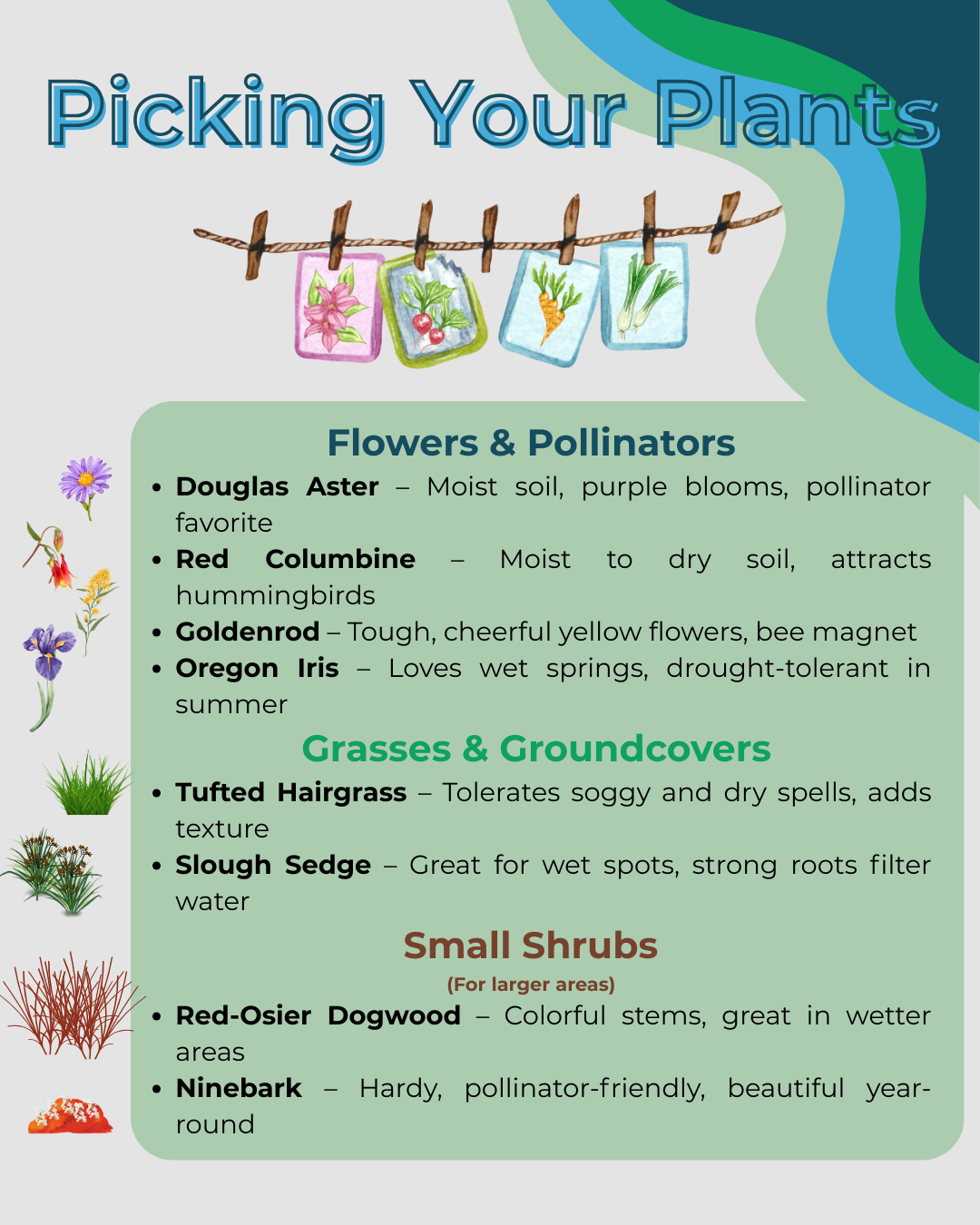 Guide for selecting plants: flowers/pollinators, grasses/groundcovers, and small shrubs, with descriptions and growing conditions.