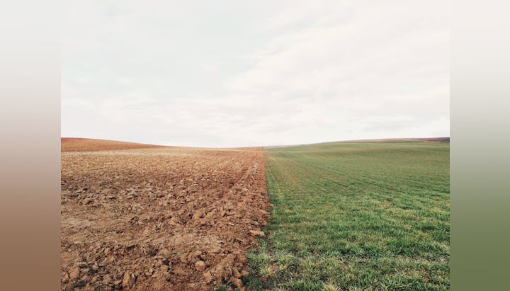 May contain: ground, land, outdoors, nature, field, and grassland