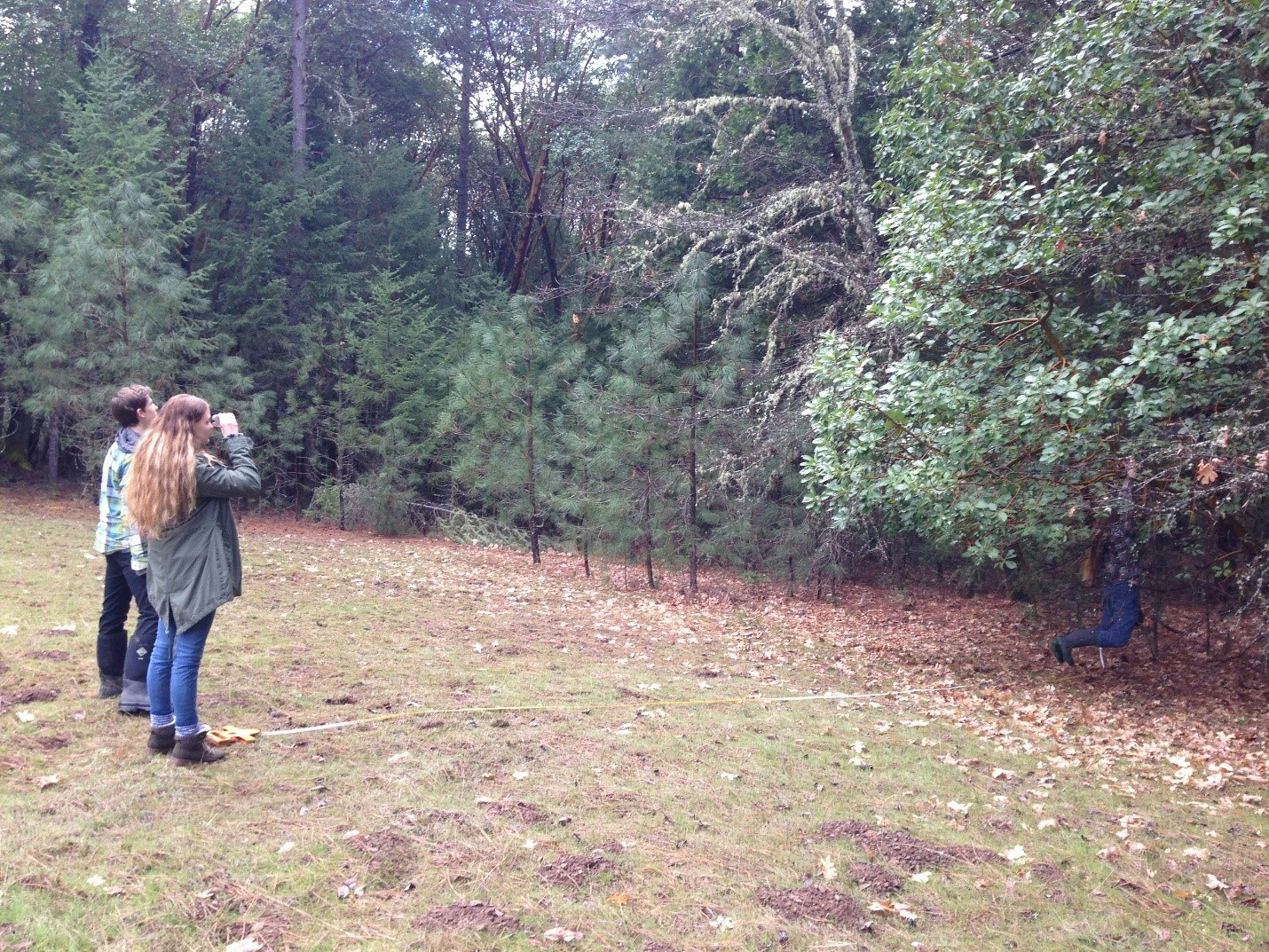 Students measuring tree height