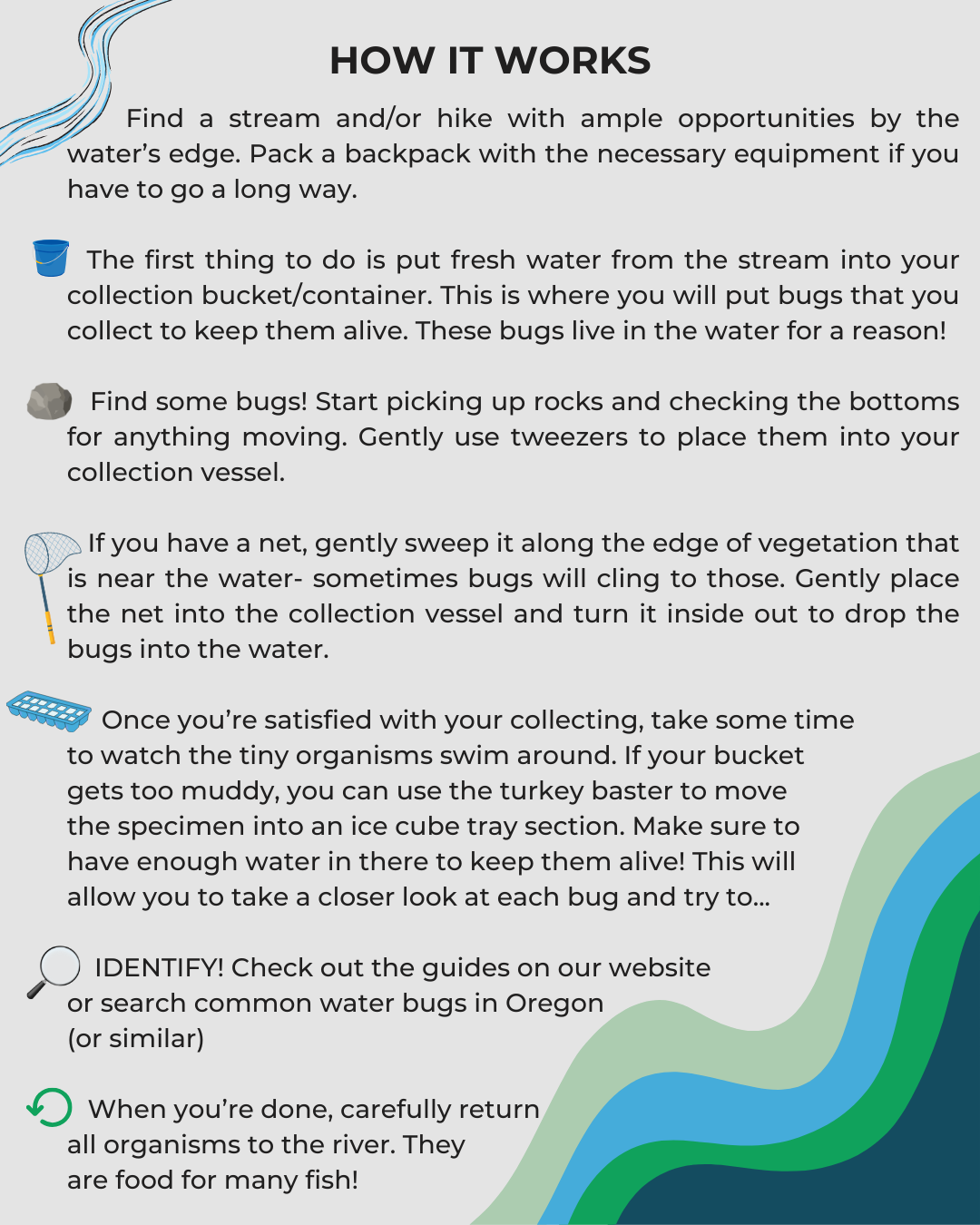 Instructions for collecting and identifying water bugs from a stream using a bucket, net, tweezers, and guides.