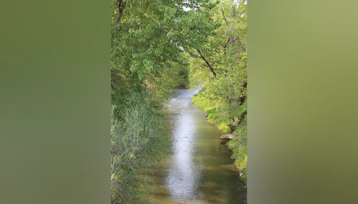 A serene river flows through lush greenery, lined with trees and grass, reflecting the calmness of nature.