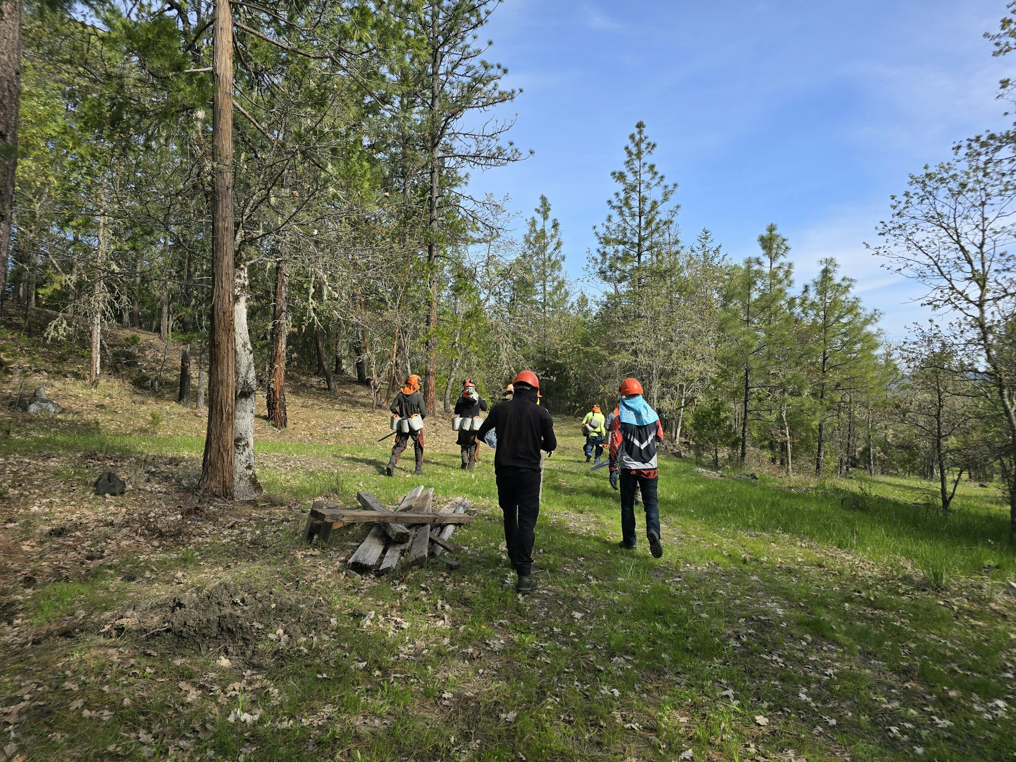 People walking in a forest clearing, wearing safety gear and helmets, with a stack of wood nearby.
