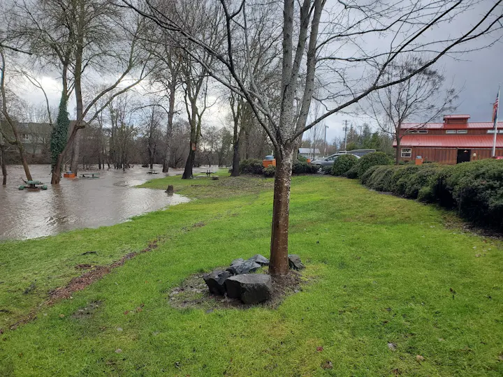 The image shows a park affected by flooding, with water covering picnic tables and surrounding trees, alongside a grassy area.