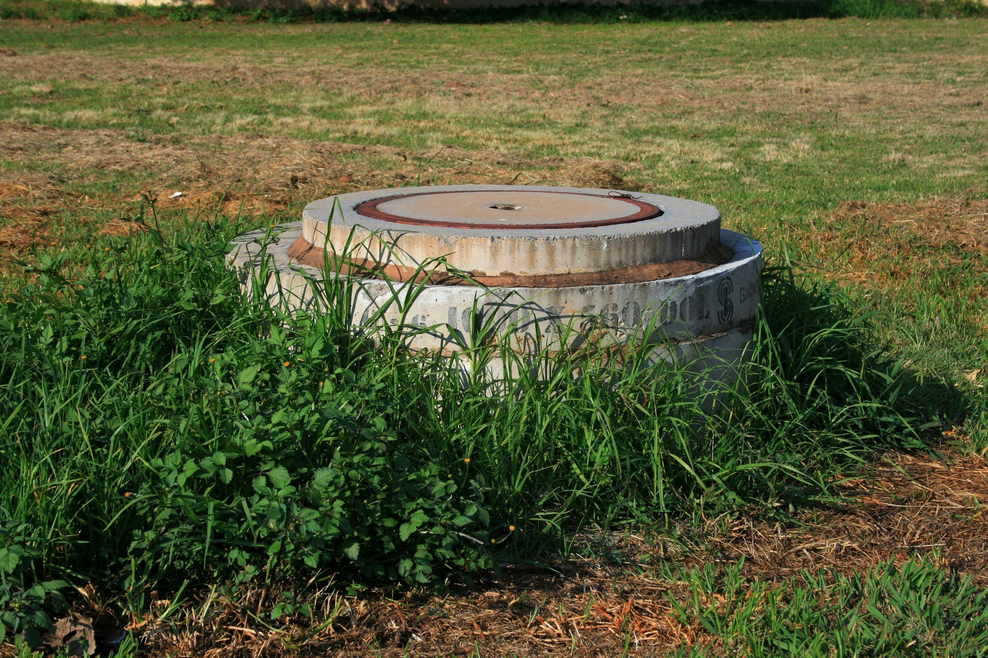 May contain: ground, jacuzzi, tub, hot tub, and soil