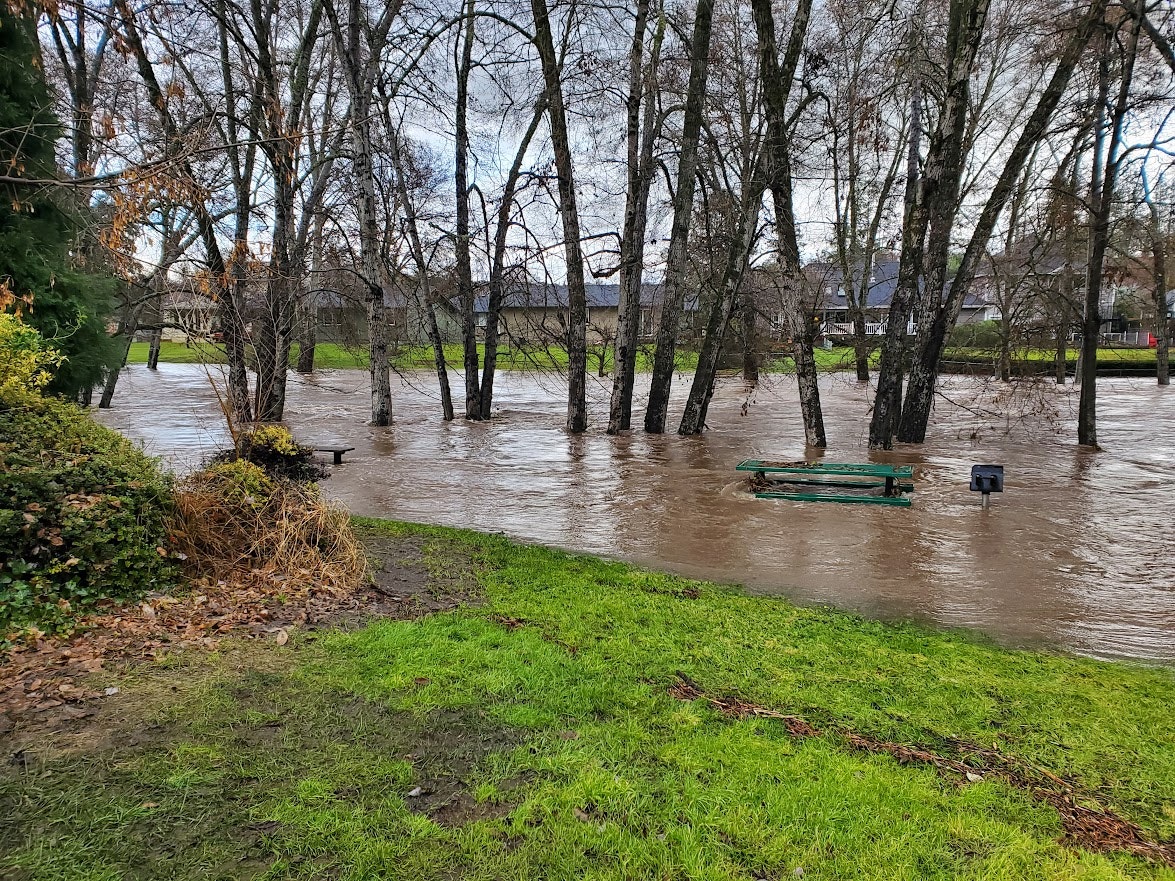 A flooded area with trees and a partially submerged picnic table, indicating heavy rain or rising water levels.