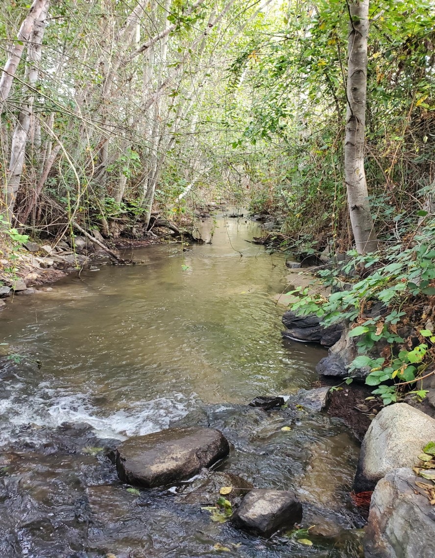 May contain: water, creek, nature, outdoors, and stream