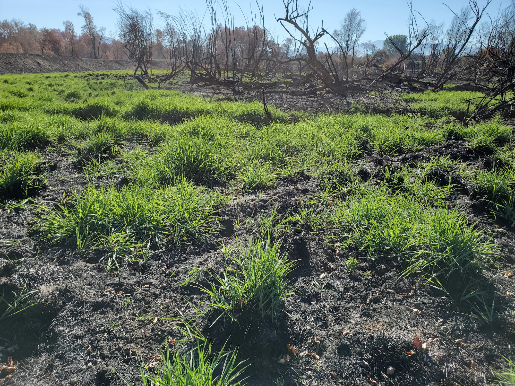 May contain: ground, nature, outdoors, field, grassland, land, countryside, rural, and farm