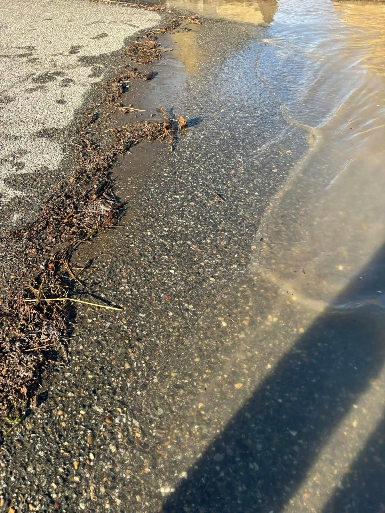 The image shows a wet pavement edge with some debris and algae, where water has gathered along the surface.