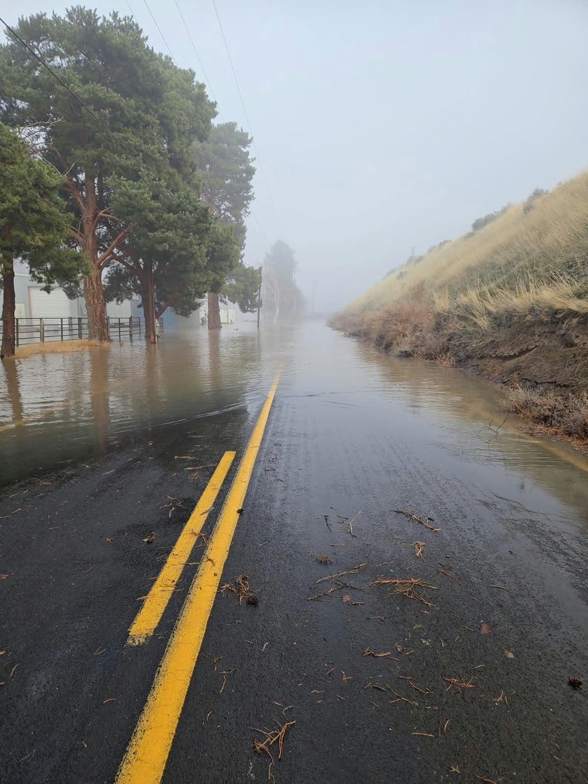 A foggy scene showing a flooded road lined with trees, with water covering the pavement and debris scattered around.