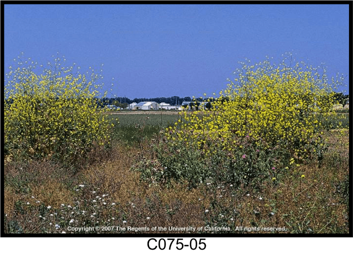 May contain: nature, outdoors, grassland, field, and countryside