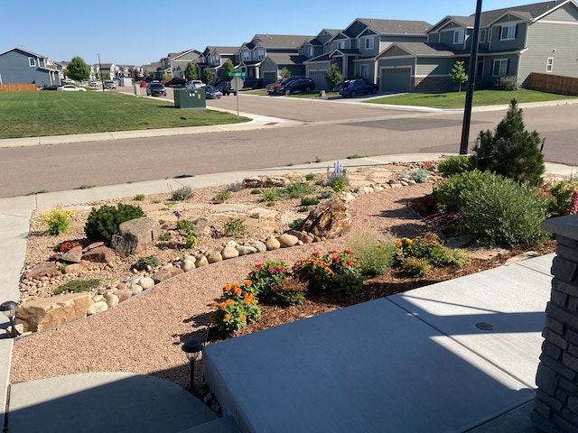 A landscaped garden with rocks and colorful flowers, leading to a concrete pathway, in a suburban neighborhood.