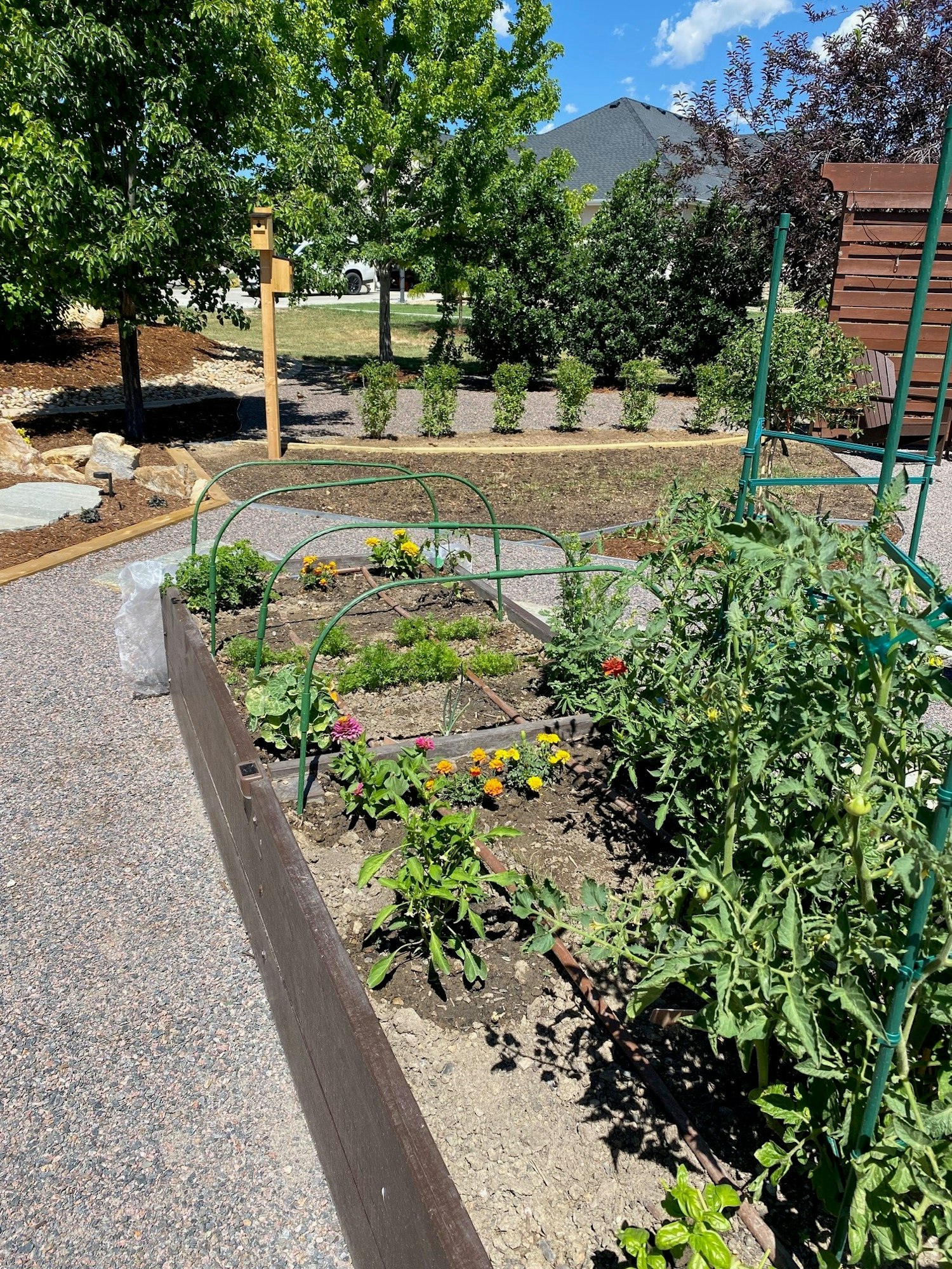 A garden with vegetables and flowers, including tomatoes and marigolds, in a raised bed, surrounded by trees and a birdhouse.