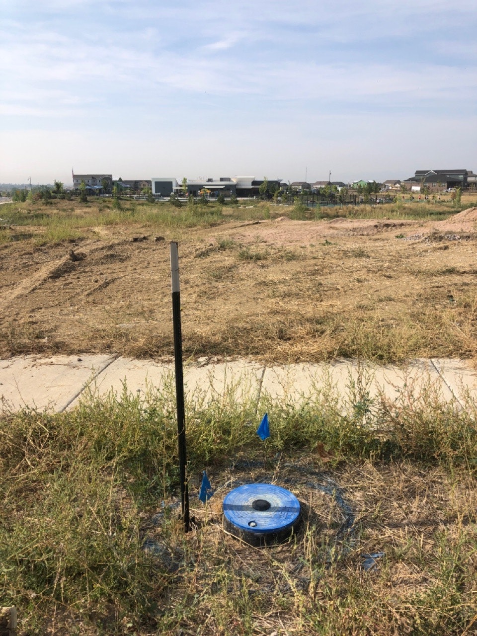 A grassy area with a black pole, a blue meter pit cover on the ground, and two small blue flags. Houses are visible in the background.