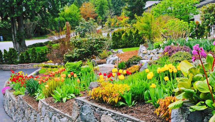 A colorful garden with various flowers, including tulips, surrounded by greenery and stone landscaping, creating a vibrant scene.