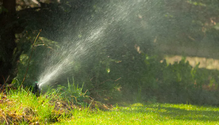 A sprinkler is watering grassy area, creating a misty effect in sunlight, enhancing the garden's freshness.