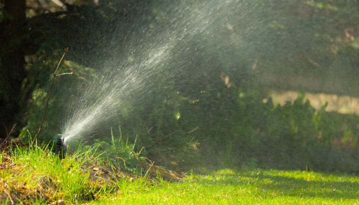 A sprinkler is watering grassy area, creating a misty effect in sunlight, enhancing the garden's freshness.