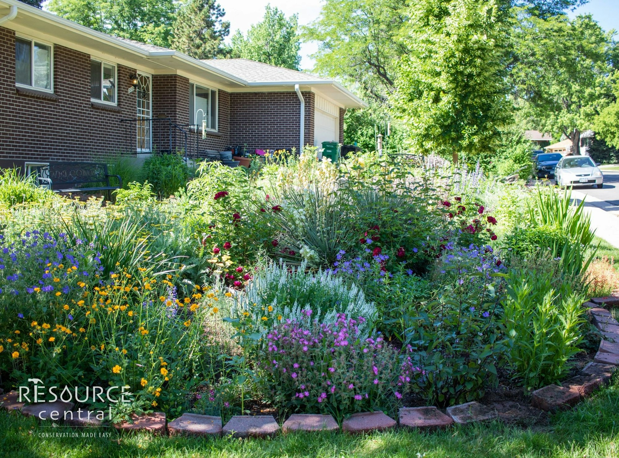 A colorful garden with various flowers in front of a brick house, bordered by a sidewalk and driveway.