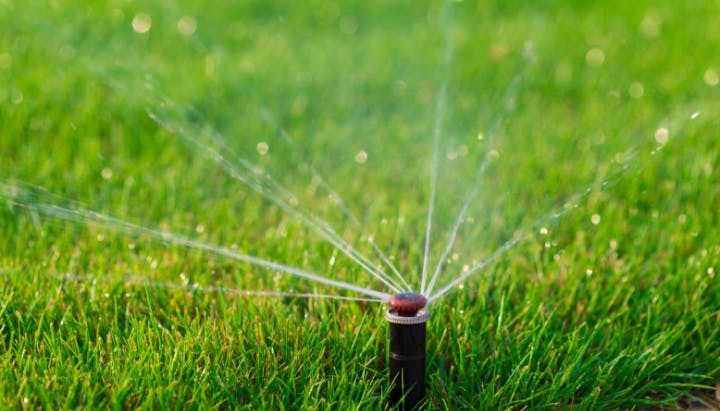 A lawn sprinkler spraying water over lush green grass in a well-lit outdoor setting.