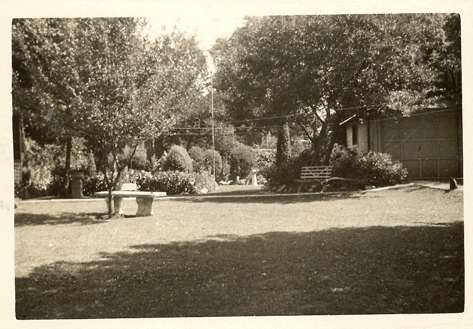 May contain: bench, furniture, grass, nature, outdoors, park, plant, garden, and tree