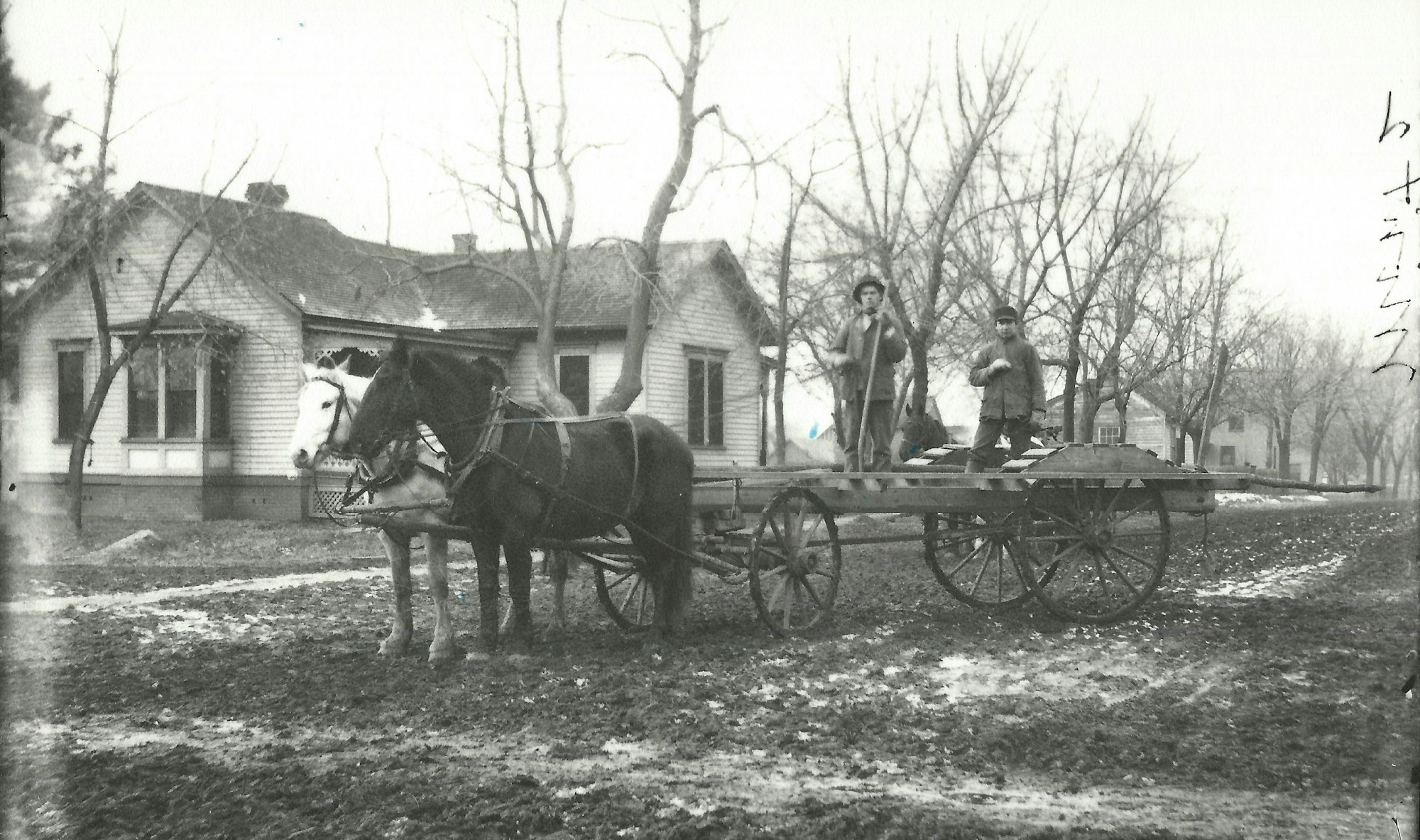 May contain: transportation, vehicle, wagon, person, machine, spoke, horse cart, clothing, glove, wheel, animal, horse, and mammal