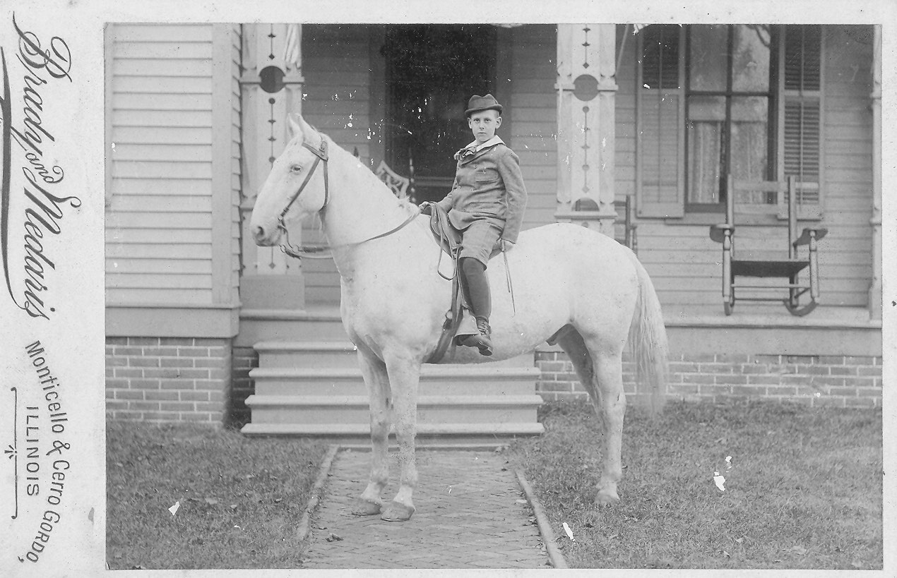 May contain: boy, child, male, person, animal, horse, mammal, chair, furniture, andalusian horse, clothing, footwear, and shoe