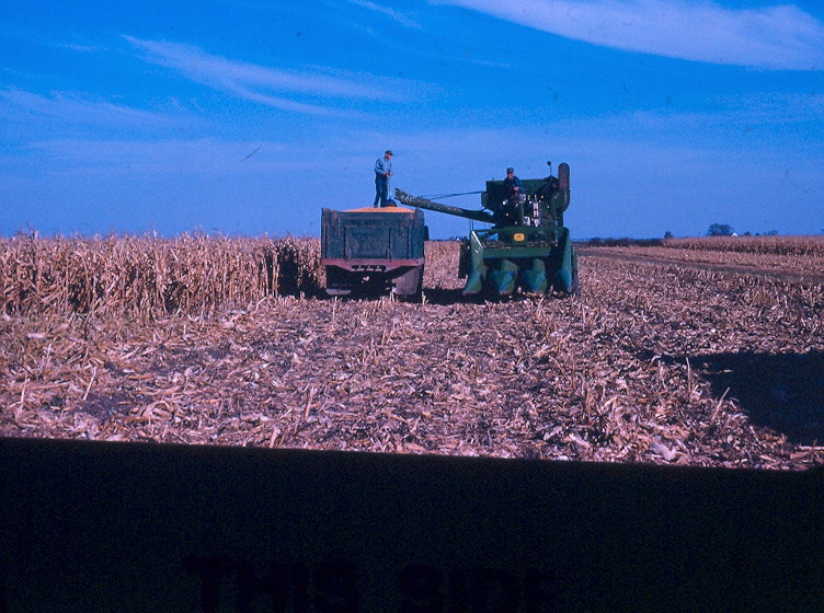 May contain: countryside, farm, harvest, nature, outdoors, rural, and person