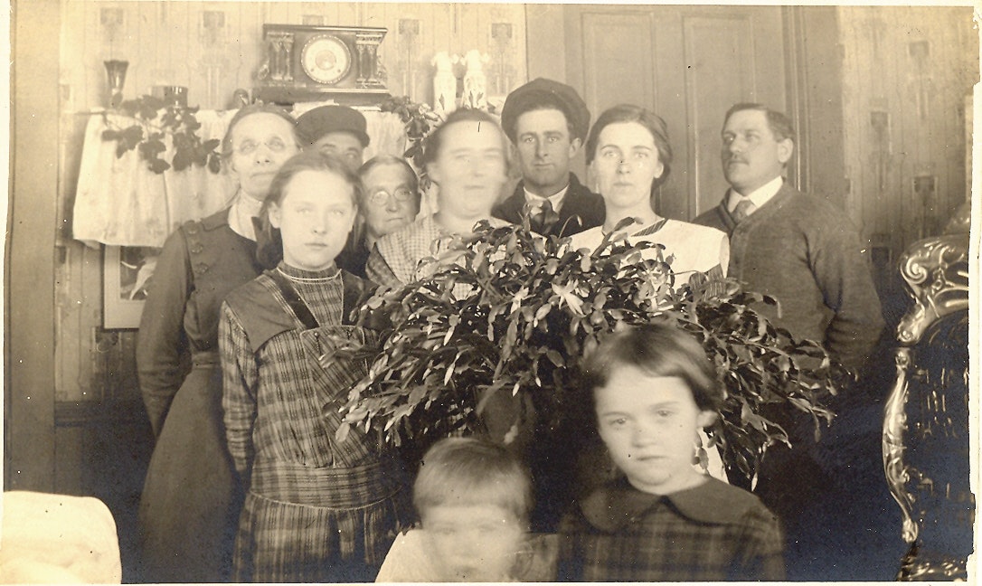 May contain: people, person, plant, potted plant, baby, adult, bride, female, wedding, woman, face, head, clothing, formal wear, suit, flower, flower arrangement, and flower bouquet