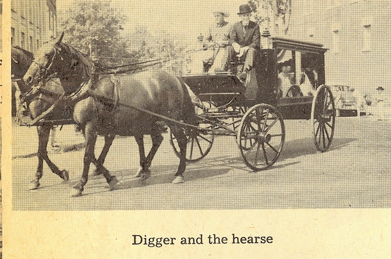 May contain: carriage, transportation, vehicle, person, machine, wheel, animal, horse, and mammal