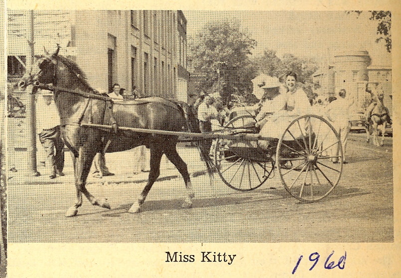 May contain: person, transportation, vehicle, wagon, animal, horse, mammal, and horse cart